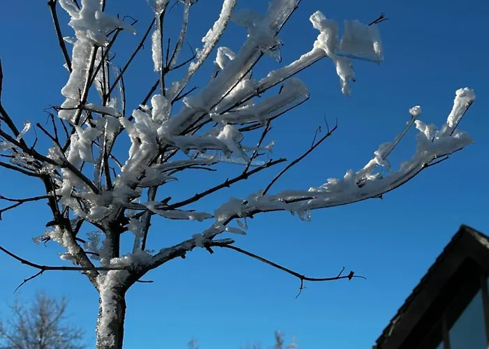 Feriested Gorskie Katy Michalkowa